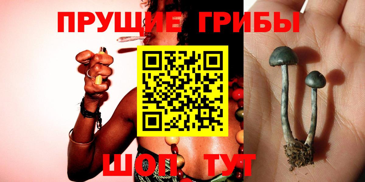 Галлюциногенные грибы мухоморы  Вход с VPN  Арсеньев 